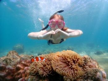 Nemo Island snorkeling tour Pattaya